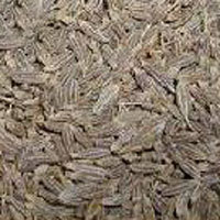 Cumin Seeds (Cuminum Cyminum)