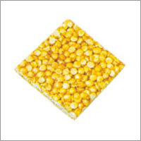 Fried Dal