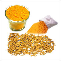 Turmeric Fingers and Powder