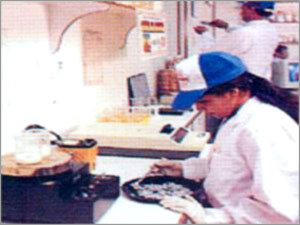 Production Facilities