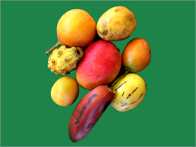 Exotic Fruits