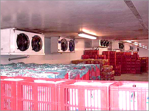 Thermal & Acoustic Insulations