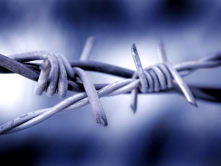 Barbed Wire