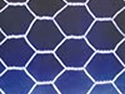 Hexagonal Mesh