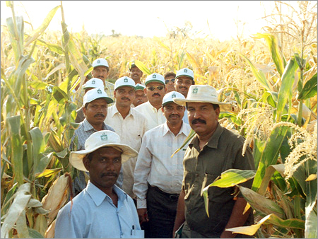 Research Team