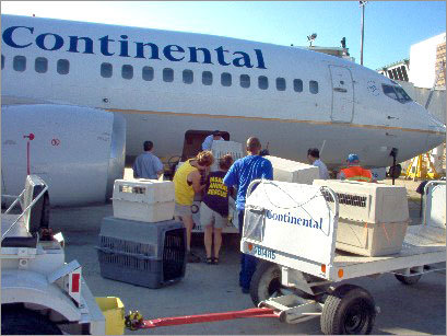 Air Freight Forwarding