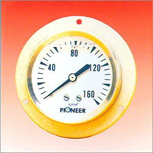 Stainless Steel Gauges