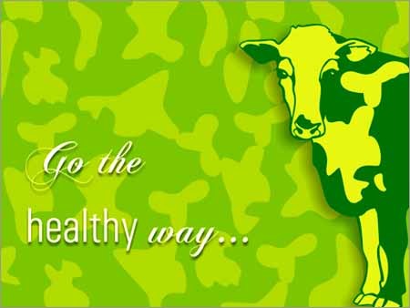 Dairy Products