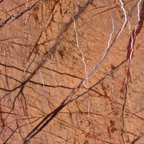 Forest Golden Polished Marble