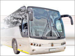 Web Banner Bus