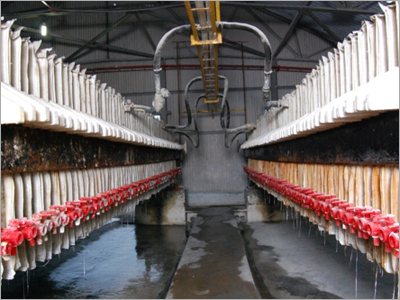 Filteration Plant