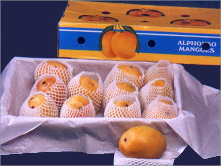 Alphonso Mango