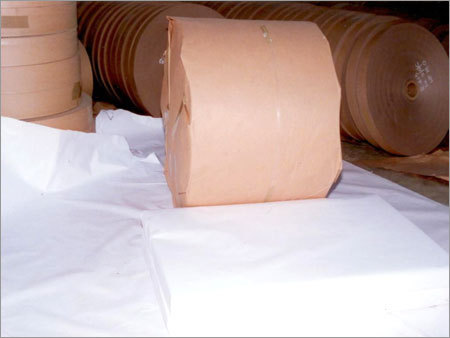 PE Coated Kraft Paper