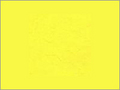 Pigment Yellow (reactive M Dyes)