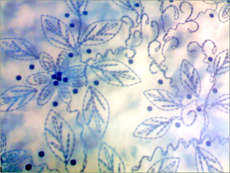 Color Dyeing
