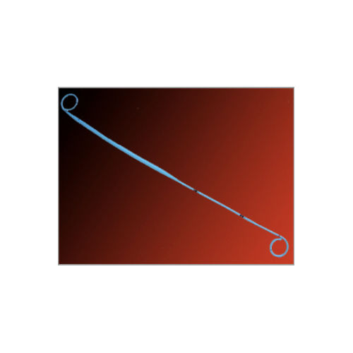 Endopyelotomy Stent