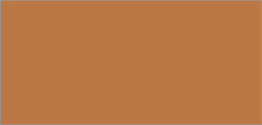 Caramel Color Caramel Color