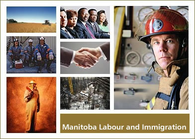 Labour Contractor