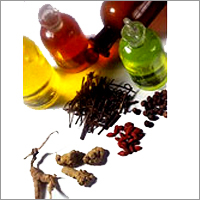 Sandalwood Fragrance Oil By SHIV SALES CORPORATION