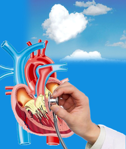 CARDIAC & ANTI-DIABETIC - Medicine Kit, Tablets & Capsules | Heart Health, Diabetes Control, Dosage Flexibility