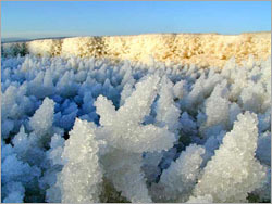 Dead Sea Salt (Ordinary Powder Salt)