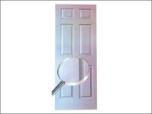 Fibre Door