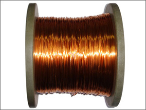 Cables/Cable Accessories & Conductors