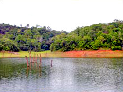 Tour Package(Periyar Lake- Kerala)