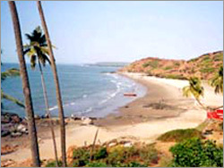 Travel Agents & Tour Operators