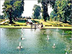 Tour Packages(Mughal Gardens- Jammu)
