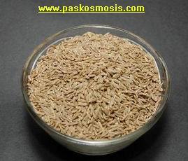Cumin seeds