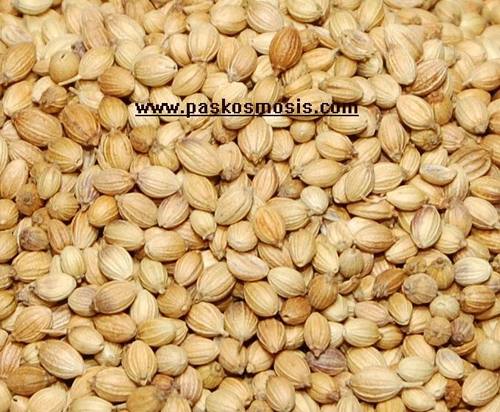 Coriander seeds