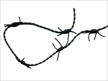 Barbed Wire Leather Cord
