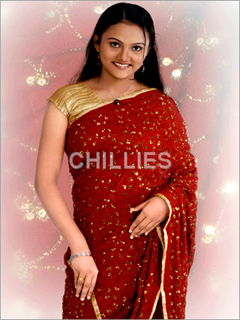Traditional Saree