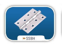 Stainless Steel Bearing Hinges