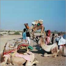 Camel Safari in India Travel kit