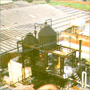 Raj Cello (Factory)