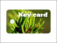IC Contactless Cards