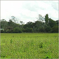 Industrial Plots / Sheds