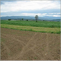 Large Chunks of Agricultural Land