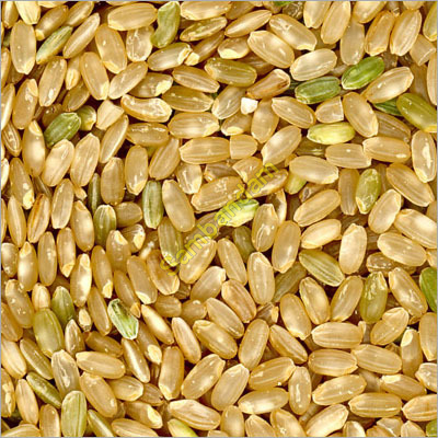 Brown Rice