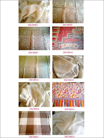 Pashmina Shawls