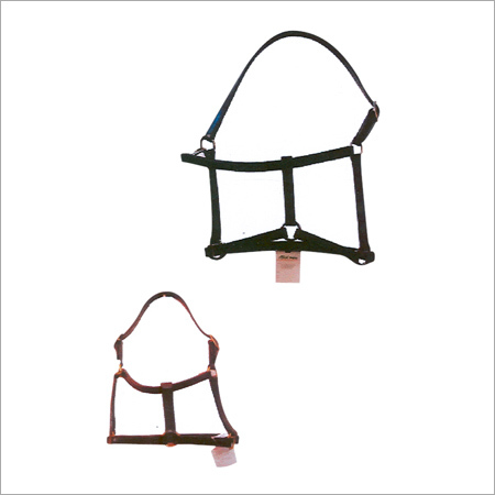 Double Halter
