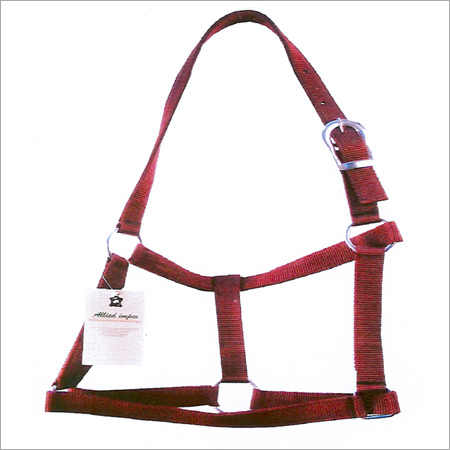 PP Halter