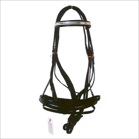 Dressage Bridle