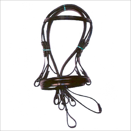 Weymouth Double Bridle