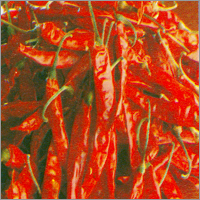 Red Dried Chili