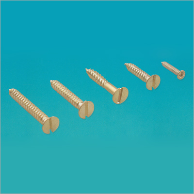 Brass Plated Stainless Steel Screws