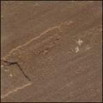 Autumn Brown Sandstone