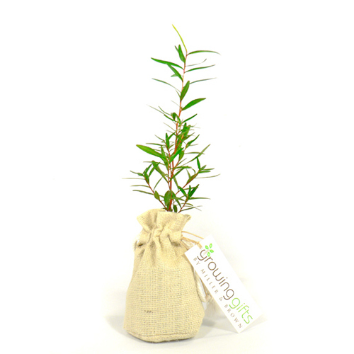 Jute Nursery Gift bags